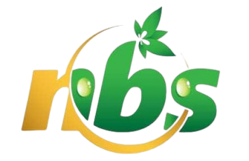 Banginic partners we /project-photos/nbs.png
